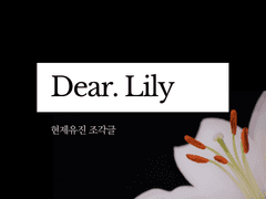 [현제유진] Dear. Lily