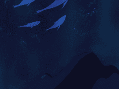 이렇게 많은 별 중에