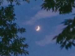 괴담커 공개 프로필