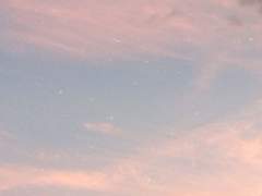 [사담] 조금 지친 작가에게