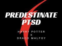 [해리드레] Predestinate PTSD 2