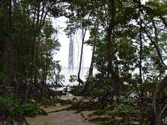 싱가포르의 작은 섬