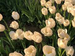 𝕃𝕠𝕧𝕖 𝕧𝕚𝕓𝕖 𝕚𝕟 𝕞𝕖