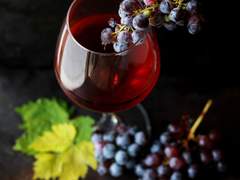 내 몽상에 온 걸 환영해.