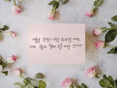 여름날 햇빛이 가장 찬란할 때는,