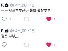 캡틴과 소위의 결혼생활