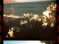 널 위해서라면 세상마저 경멸할 테야