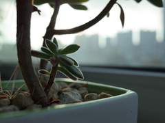 [승수경민] 바람