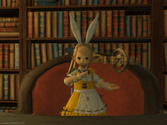 남쪽의 타로 하우스 공지