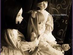 외전_어느 귀부인의 고양이