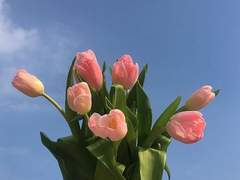 [왕샤오] 우리는 소울메이트다. 2