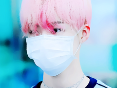 최찬희 이주연 김선우 최범규