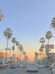 𝐵𝑒𝒽𝒾𝓃𝒹 𝓉𝒽𝑒 𝓌𝑜𝓊𝓃𝒹