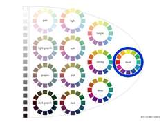 트와이스 채영 퍼스널 컬러 분석