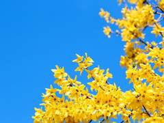 기침과, 가난과, 사랑은, #02