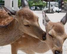 [친/후세대] 포터와 포터와 포터 1