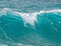 파도, 둥지 - 上