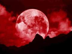 홍월 - 붉은 달이 흘리는 눈물의 붉은 실