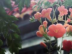 우리들의 이야기