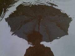 언젠가 소나기도 아름다울까요