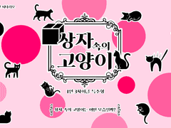 상자 속의 고양이