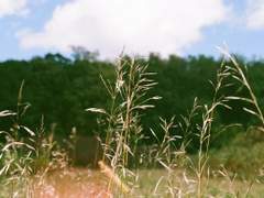 [DX3] 강금실 (71세, 크로스 브리드, 솔라리스·발로르 신드롬 각성자) 특수 녹취 회고록 일람