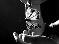 나방에게도 날개는 있다