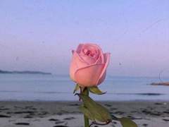 너를 다시 만나게 되는 날이 있을까