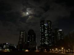 내가 나를 응원하는 법