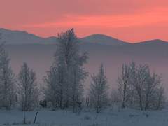 어떤 계절도 영원할 수 없기에