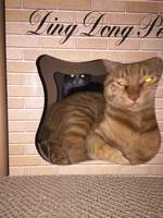 우당탕탕 생식만들기