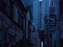 모두 달라지고 아무도 망하지 않은 꿈