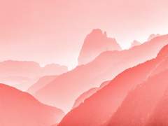 수정) 찬백온 수량조사