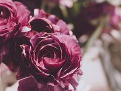 [웡낫] 지극히 정치적인 연애