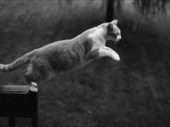 [일영이려] Highrise Syndrome