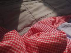 세탁된 침구에서 떠오르는 것