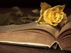 [룬버] 소꿉친구AU