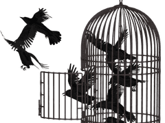 [탄기유] 두려움이라는 철장 안의 새