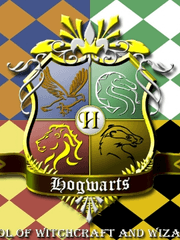 Haikyuu (해리포터AU)