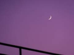 커피아노 (Coffee-Ano) 24