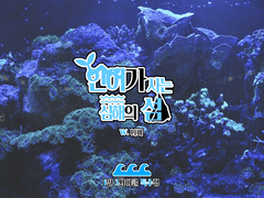 인어가 사는 심해의 섬