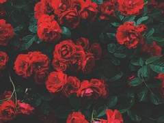 즐¿ㄱ¡운, 크리스마스.