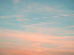 1991년 생활 기록부