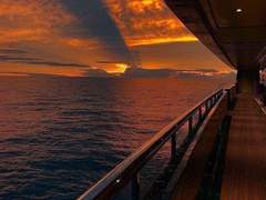 조개껍질과 날아온, 유리병에 담긴 쪽지.