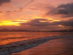 써달래서 쓰는 화랑이 바다간 썰