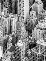 장렌/장티엔 문답