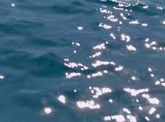 표재영/28/XX/백룡파