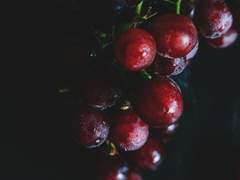 [Hanni.Jin] ănástăsis