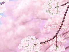 웨이슈나_황녀와 마술사