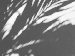 한시적 애정의 부작용